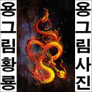 황룡하우스