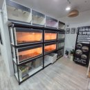 게코피아 - 김포시 김포한강9로 113 | 게코피아