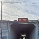 붕어섬1(다리앞) 이미지