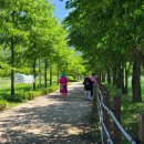 팔당물안개공원 이미지