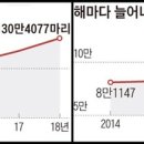 선인축산 이미지