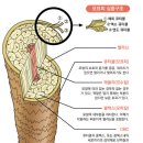 베베뷰티 - 제주시 | 베베뷰티