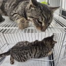 인동43길-4 이미지