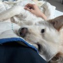 꿈에본춘천집 이미지