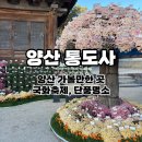 양산신-2018 | 양산 가볼 만한 곳 통도사 l 유네스코 세계유산 사찰 국화축제 나들이