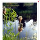 백화초등학교 이미지