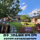 개구리민박 | 경주 한옥 민박 그린 힐링 살구나무방 나만 알고 싶은 경주 숙소