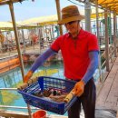 스카이좌대낚시터 이미지