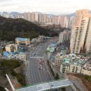 생태다리 이미지