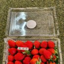 하나로마트 호암행복지점 이미지