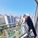 오케이글라스 이미지