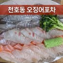 천호 오징어포차 | 내돈내산 | 고분다리시장 근처 가성비 횟집