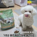 애견사료 추천 기호성좋은 체중조절 사료 퓨어라이프 독 라이트 급여 후기
