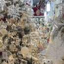 12/6 크리스마스 생화 트리 이미지