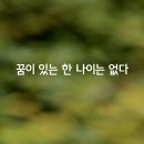 꿈이있는 이미지