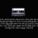 미스터스팀