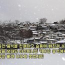 풍성식당 이미지