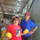 김창선농장 이미지