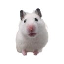 방배로25길 25-2 | 드디어 결혼식 (더베일리하우스, 멥시, 이아라보, 치즈앤버터 레츠고)