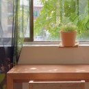 봉산로터리(안성시청) 이미지