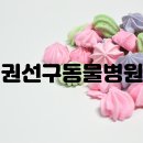 권선구 고려병원 이미지