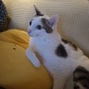 닭앤호프 | [일상기록] 26.07.13~26.07.19 ; 하루하루를 착실히 채워가는 일