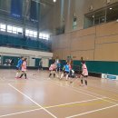 경기 피닉스 이미지