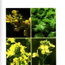 중성동113 이미지