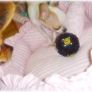 산이랑 바다 이미지