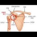 원에스짐 이미지