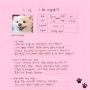 1081 | [#1081] 구름(양측 대퇴골두절제술)의 수술후기