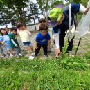 홀츠하임어린이집 이미지