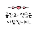 백경여행사주
