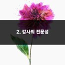 고려체육관 이미지