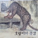 호랑이와곶감그림책도서관 네이버블로그