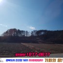 장기중학교 | 세종시 장군면 단독주택지 전원주택지 행복도시10분...힐1차 하봉리, 2차 산학리 임장후기 및 사전예약하기