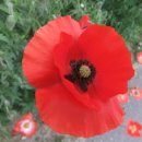 진우학원 이미지