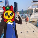 투투거제 네이버블로그