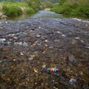 진동계곡마을 이미지