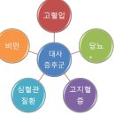 세운식품 | 당뇨 고혈압 걱정으로 건강 루틴 다시 세운 솔직 후기