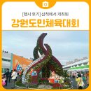삼척초교 | [행사 후기] 삼척에서 개최된 제60회 강원특별자치도민체육대회