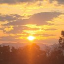 걷기지도사(야간) 이미지