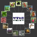 은아네농원