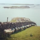 태양목장 이미지