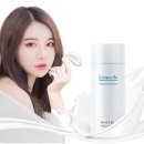 포레스트데이