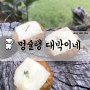 멍슐랭 | [멍슐랭대박이네] 건강한 강아지 수제간식 멍슐랭 대박이네