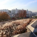 화서공원 이미지