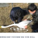 전라남도야생동물구조관리센터 이미지