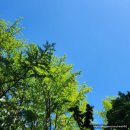 리코스타 코인노래연습장 이대점 이미지