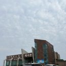 제주도 해녀촌 회국수 원조 완벽 방문기 (영업시간/주차/맛/꿀팁 총정리)